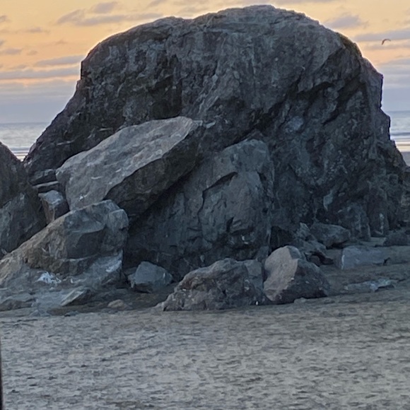 Meet your Posher, Audrey - Picture 4 of 7